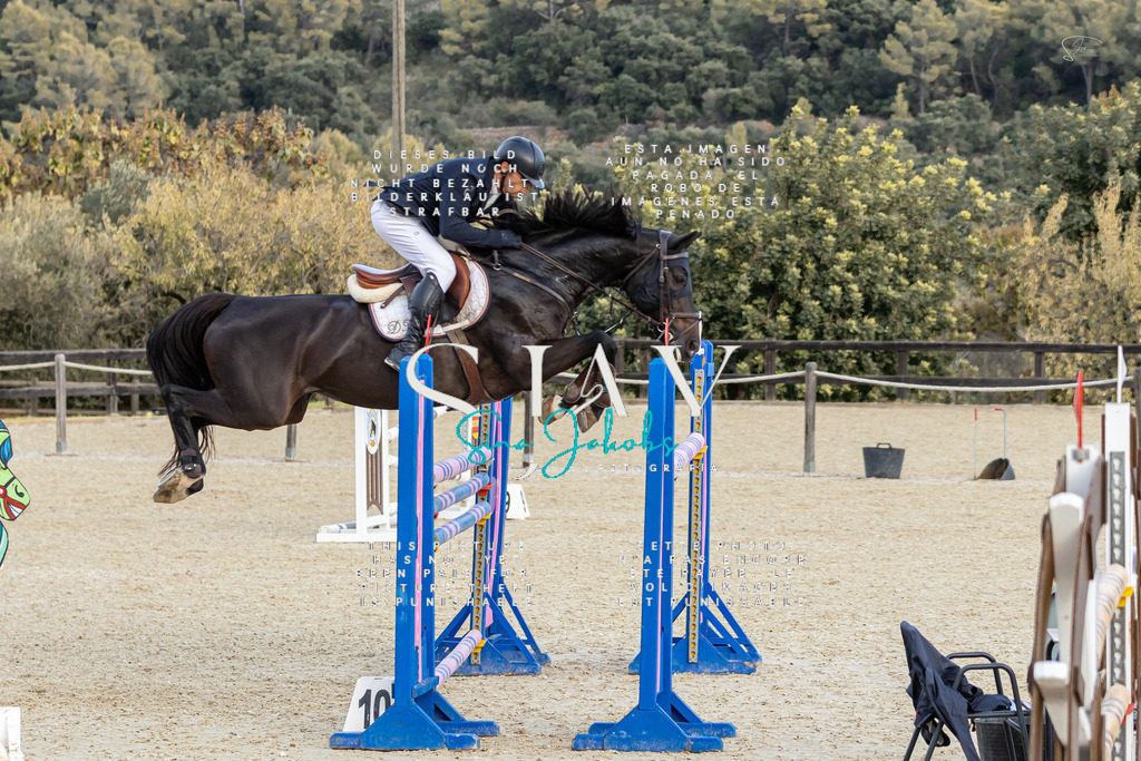 IMG_0671 | s-jay-photography - Realisiert mit Pictrs.com