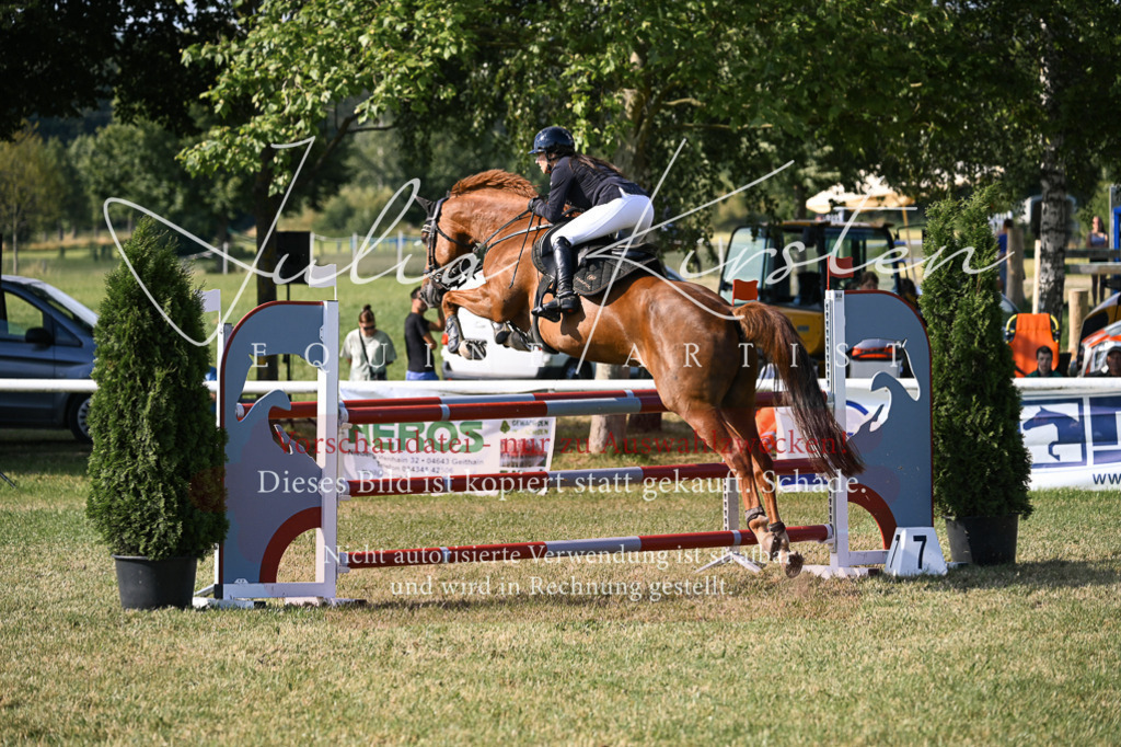 DSC_1385 | Pferde- und Turnierfotografie in Westsachsen. Pferdeportraits, Auftragszeichnungen und intuitive Kunst.