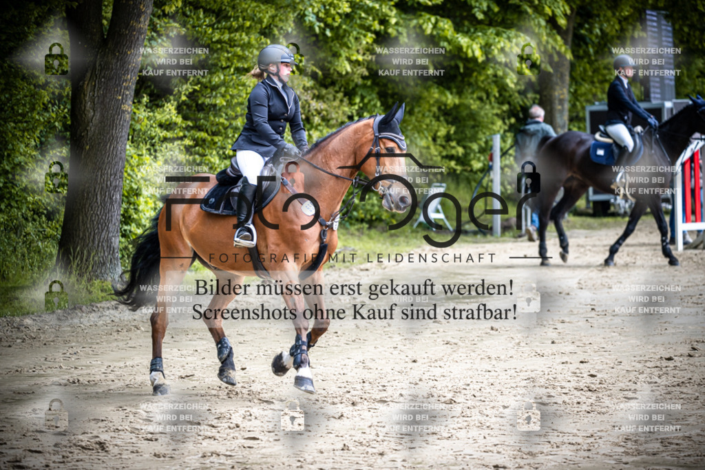 DOS_0666 | Reitturnier Lüdinghausen - Realisiert mit Pictrs.com
