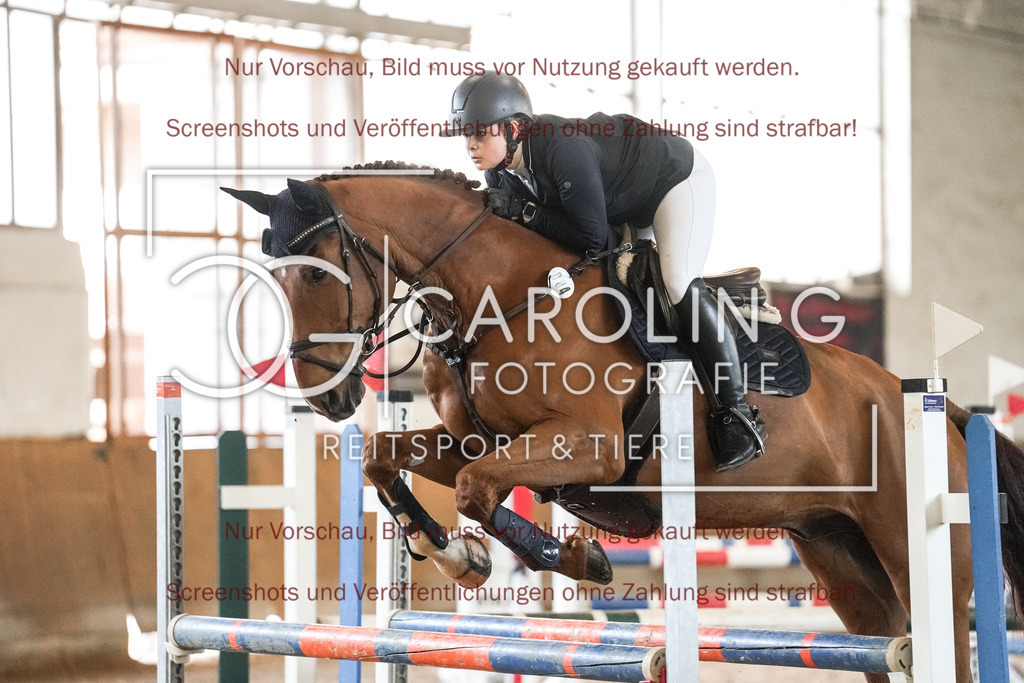 DSC09814 | Reitturnier_Göppingen_April_2026, Anna_Marlin_Stollwerck, Sheamus_HR