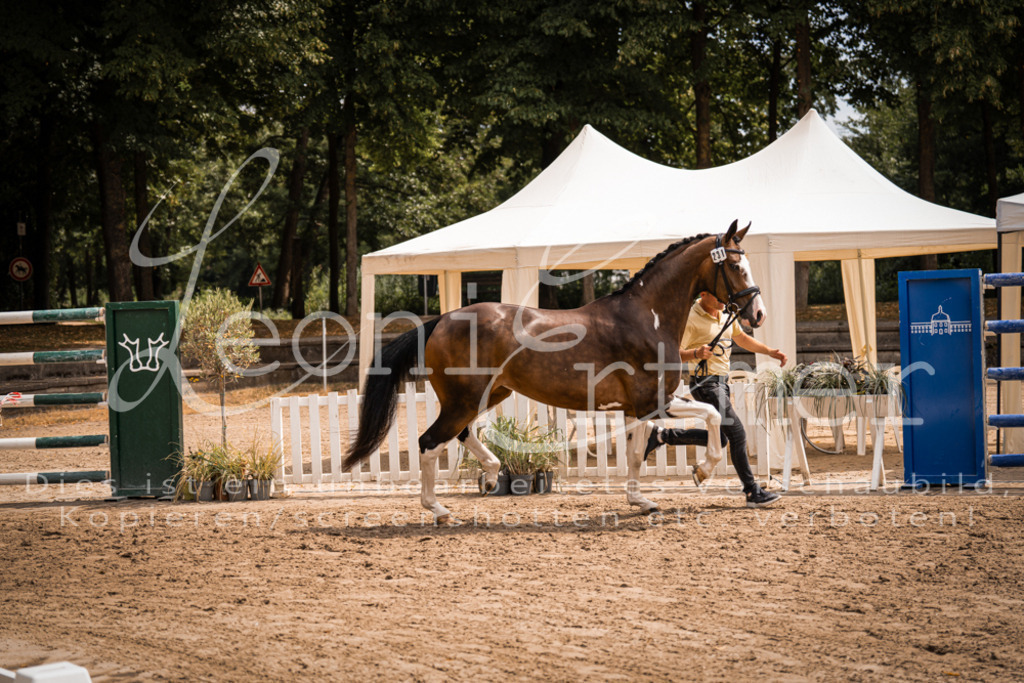 2. Fr00151 | Leoni Ertmer Photography - Realisiert mit Pictrs.com