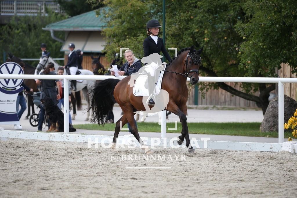 DL2Q4573 | Willkommen bei Brunnmayr - Design & Fotografie – Ihrem Spezialisten für Reitturniere und Pferdeveranstaltungen in Oberösterreich, Salzburg und Bayern! Seit über 17 Jahren sind wir leidenschaftlich dabei.