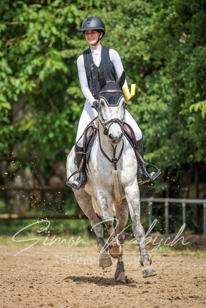20260530-_3LI3106 | Tierfotografie Pferde, Hunde, Katzen, Haustiere.
Turnierfotografie Reitturniere, Reiten, Springreiten, Dressur in Hanau, dem Main-Kinzig-Kreis und dem Rhein-Main- Gebiet um Frankfurt