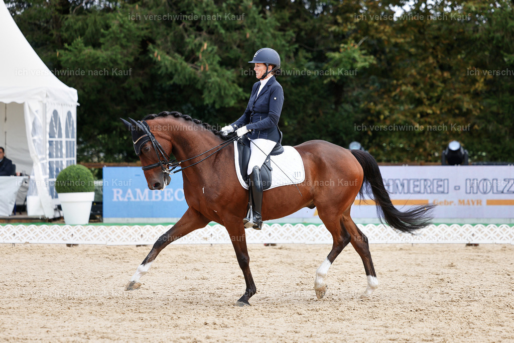05-117-DRESSUR M_  -StoibPH-4937 | working equitationturnier fotograf videograf stoibphotography marixx film working equitation deutschland reitsport turnierfotografie eventfotografie equestrian events