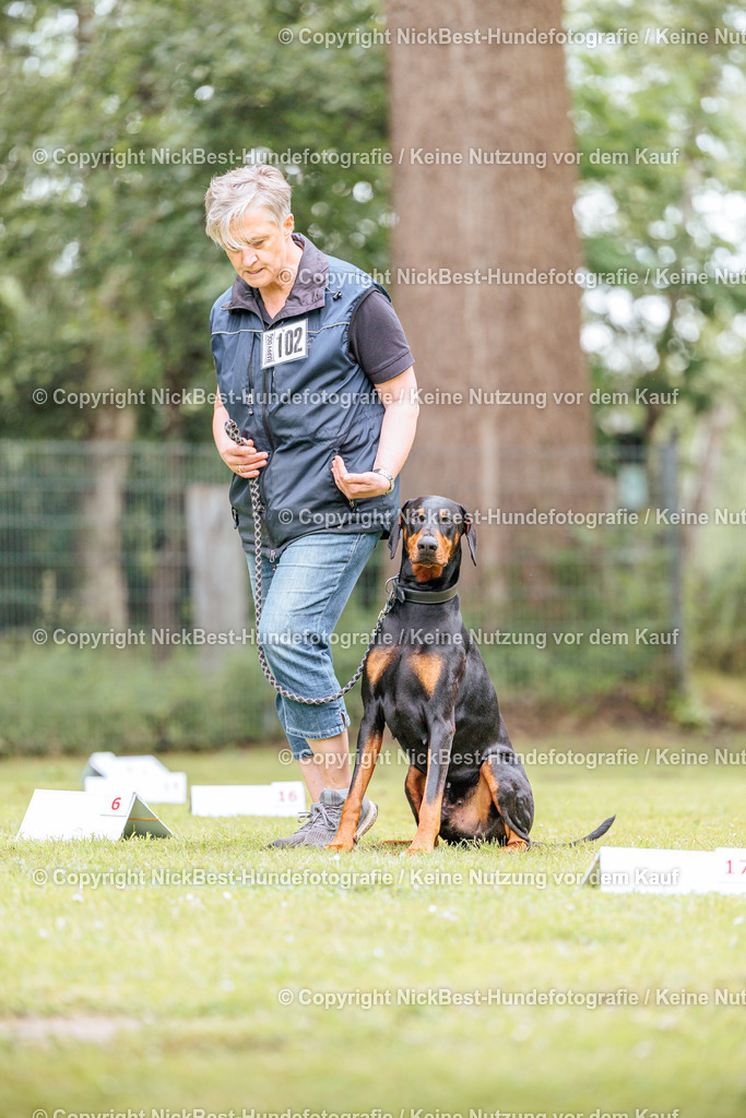 RO-Blumenthal-2026-Nickbest-Hundefotografie-5244 | Dein Hund! Dein Moment! Deine Erinnerungen! Hundefotografie in Bremen Blumenthal. Ich fange die besonderen Momente deines Vierbeiners ein – ob Indoor mit Blitzanlage oder in der freien Natur. Sicher dir dein Moment und dein Termin für eure Erinnerungen.