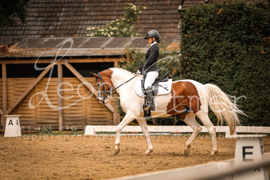 DoDrE00187 | Leoni Ertmer Photography - Realisiert mit Pictrs.com