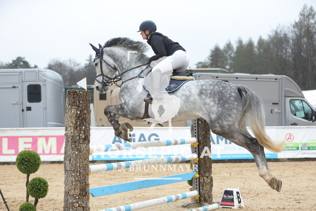 0P6A1265 | Willkommen bei Brunnmayr - Design & Fotografie – Ihrem Spezialisten für Reitturniere und Pferdeveranstaltungen in Oberösterreich, Salzburg und Bayern! Seit über 17 Jahren sind wir leidenschaftlich dabei.