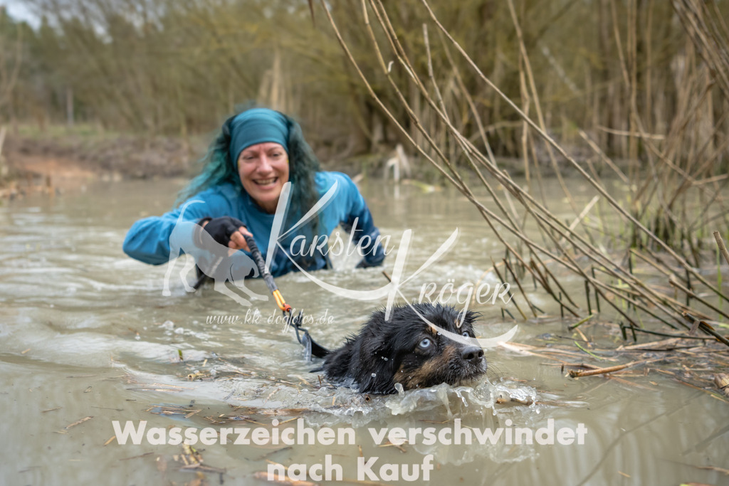 1553_ZZ94356 | kk-dogfotos