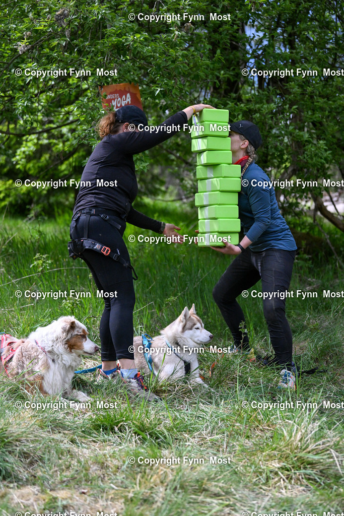 DSC_6793 | Hallo und herzlich Willkommen auf meiner Shop-Seite Fynn Most.

Ich wünsche Dir viel Spaß beim stöbern durch die Bilder, wenn Du Fragen hast oder Bilder vermisst, kannst du mir gerne eine Nachricht schreiben. - Realisiert mit Pictrs.com