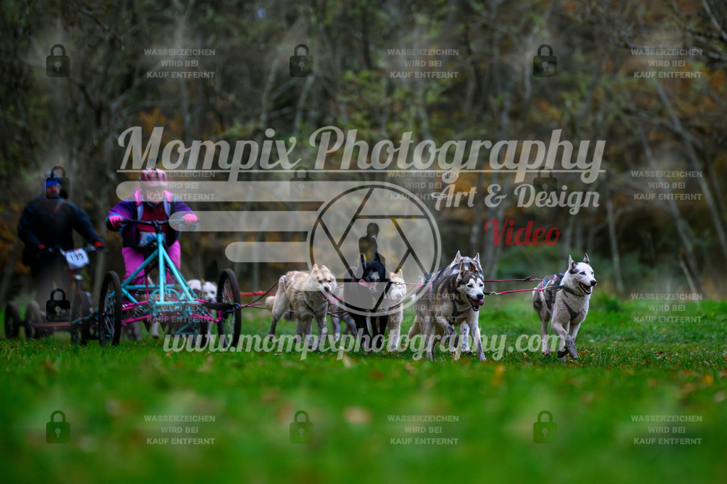 MompixPhotography_Bischwiller24_SA_Kart-18 | PayLife