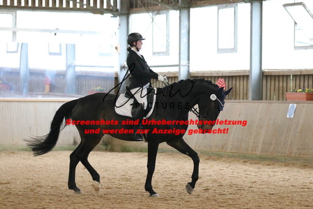 IMG_6891 | lmwpictures - Realisiert mit Pictrs.com