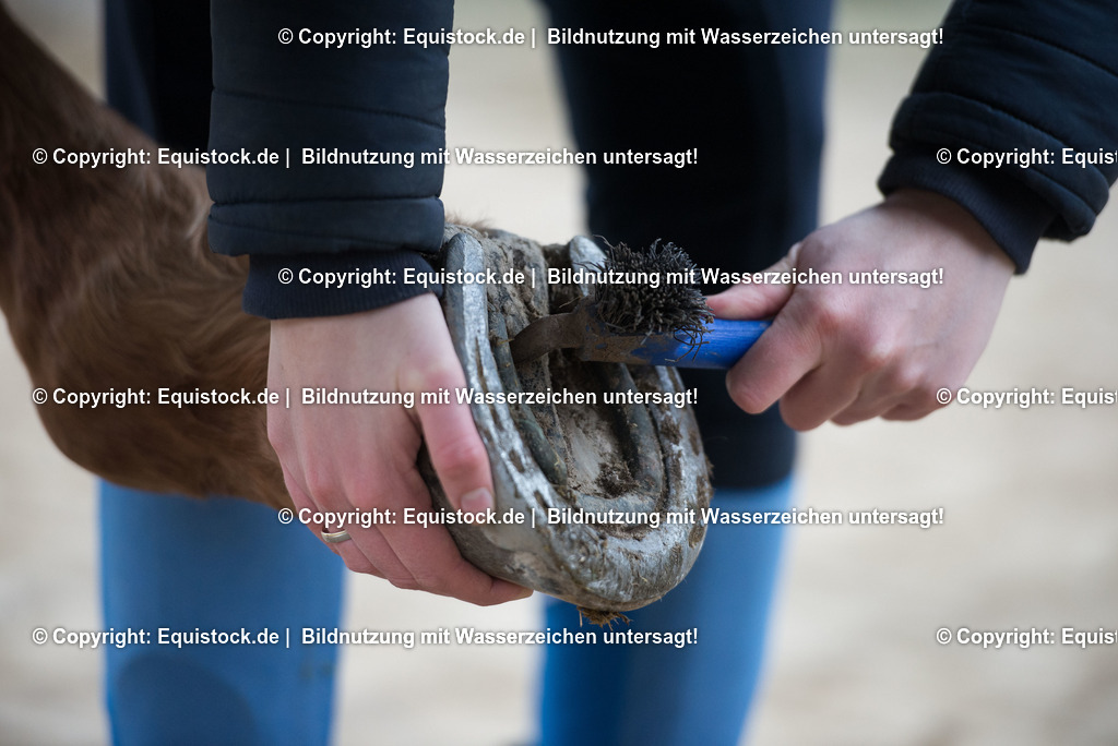 20171206_Huf_Auskratzen_Hartig_0006 | Foto: Thomas Hartig