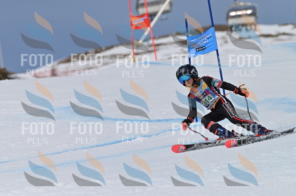 BGV_6225 | holidayphoto