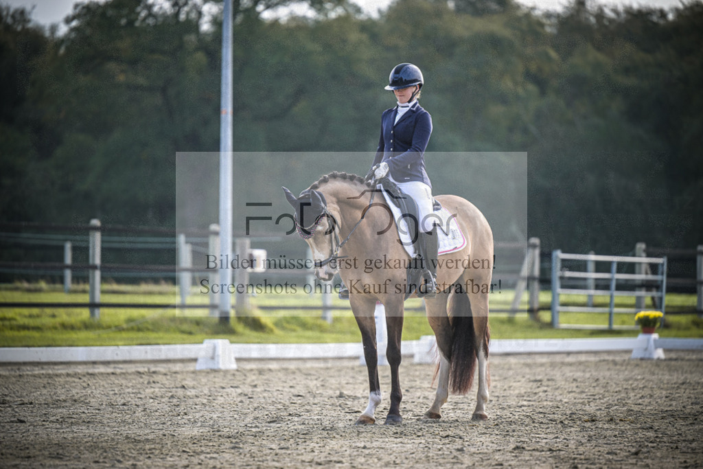 DOS_B021 | Entdecke hochwertige Reitturnierfotos von Foto Oger. Professionell, emotional und authentisch – jetzt Lieblingsmomente im Shop bestellen.Deutschlandweite Turnierfotografie. - Realisiert mit Pictrs.com