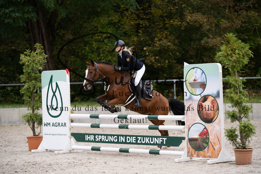 A7V08078 | Pferdefotograf