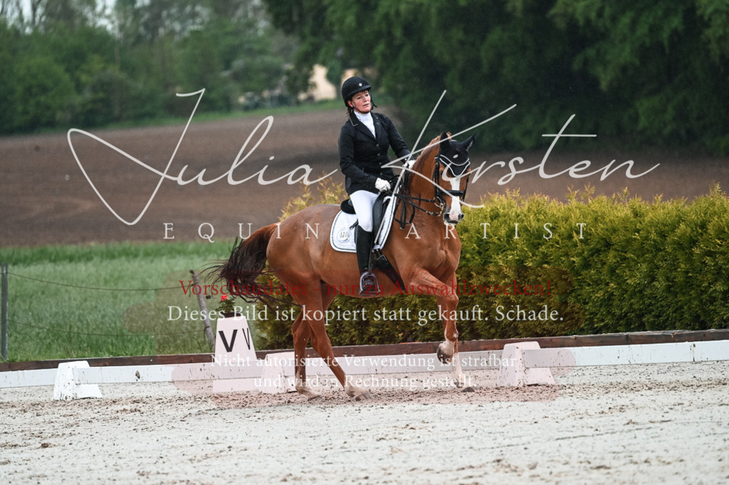 DSC_4478 | Pferde- und Turnierfotografie in Westsachsen. Pferdeportraits, Auftragszeichnungen und intuitive Kunst.
