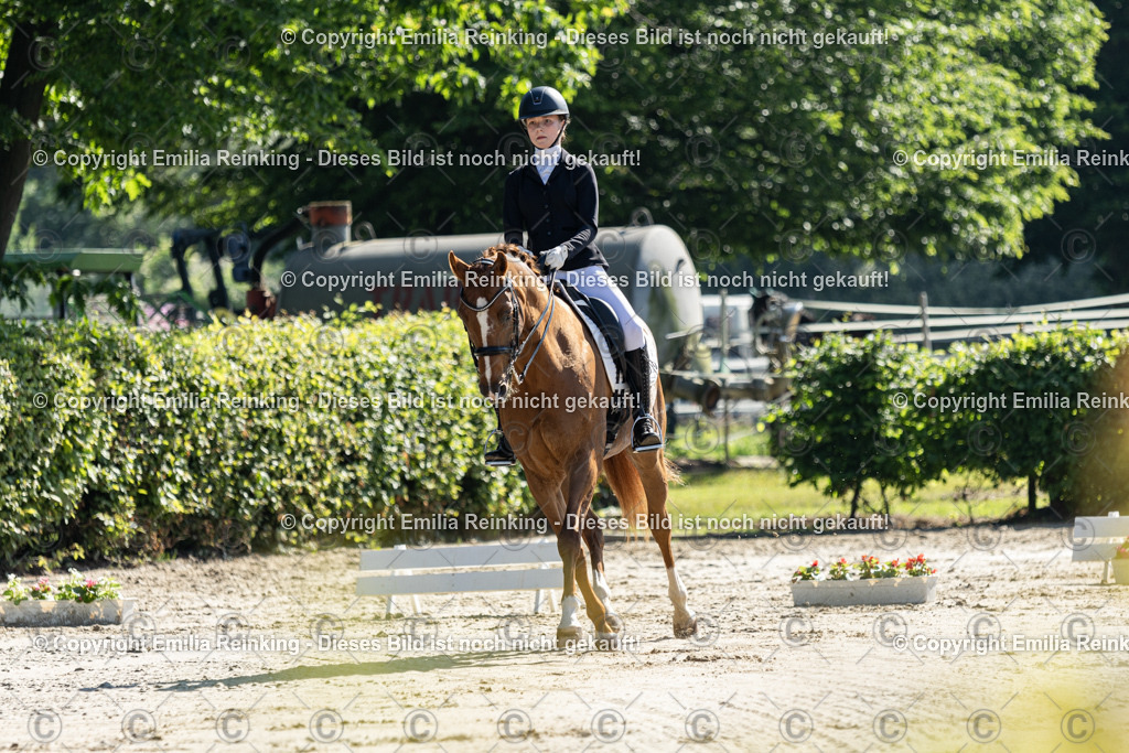 CL5A6916 | Emilia Reinking Fotografie - Realisiert mit Pictrs.com