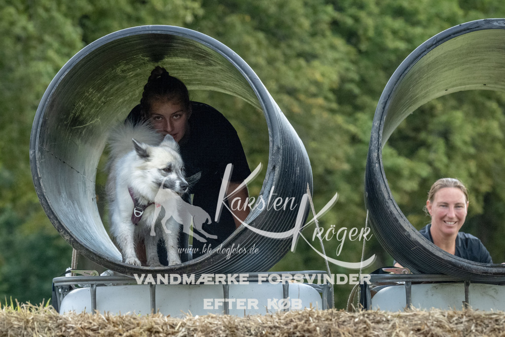 1046_ZZ93101 | kk-dogfotos