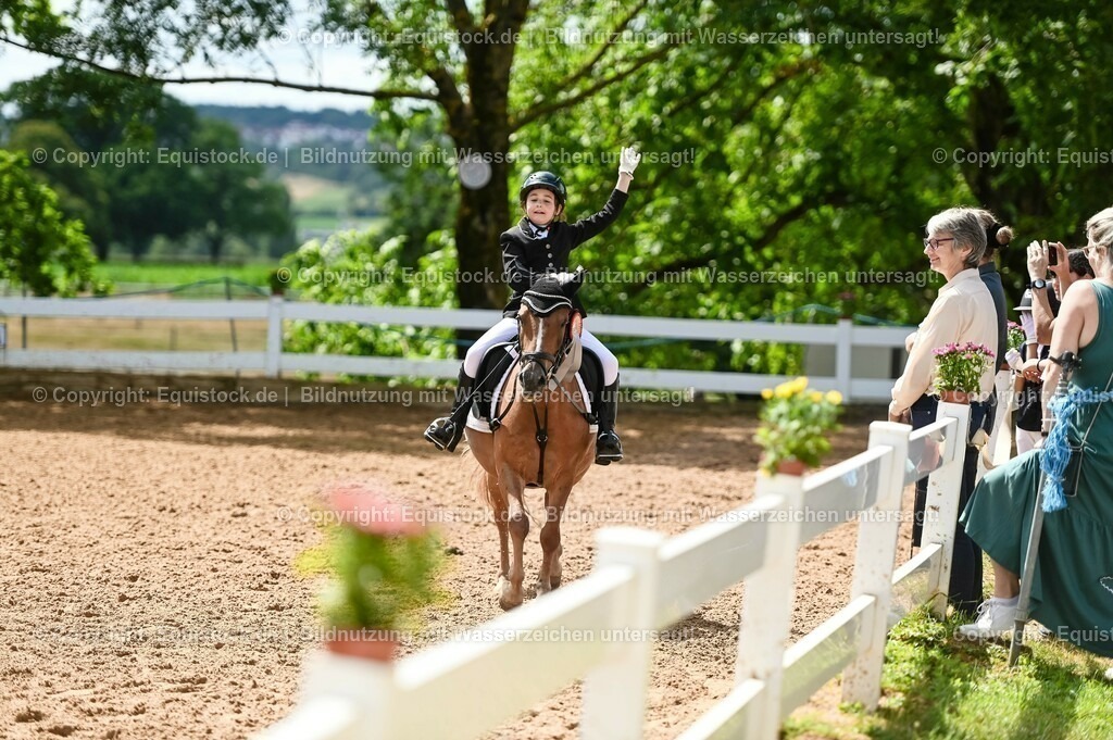20230716_10-3_Reiter-WB Schritt - Trab - Galopp_0267 | equistock