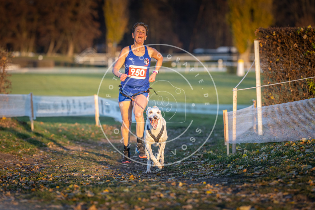 CaniXpix_DV3A5586 | Hundefotografie, Tierfotograf, Pfotenfotografie, Fotoshooting Hund, Hunde Portrait, Hundesport, Hundeportraits, Heideshooting, Hunde, Sportfotograf, Hundefotograf, Turnierhundsport, THS,  - Realisiert mit Pictrs.com