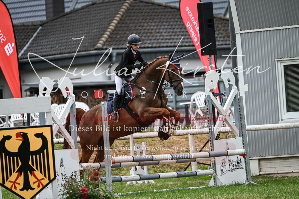 DSC_8523 | Pferde- und Turnierfotografie in Westsachsen. Pferdeportraits, Auftragszeichnungen und intuitive Kunst.