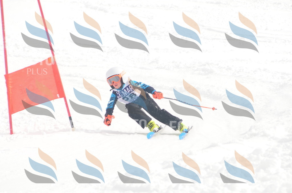 A5227 | holidayphoto