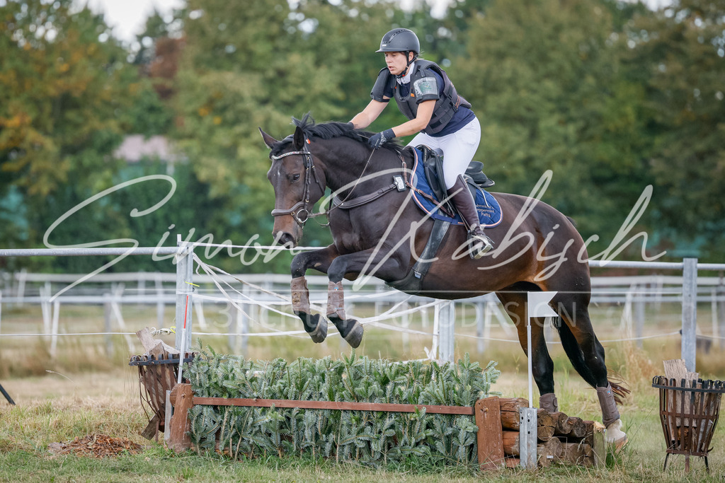 20250905-_3LI0714 | Tierfotografie Pferde, Hunde, Katzen, Haustiere.
Turnierfotografie Reitturniere, Reiten, Springreiten, Dressur in Hanau, dem Main-Kinzig-Kreis und dem Rhein-Main- Gebiet um Frankfurt