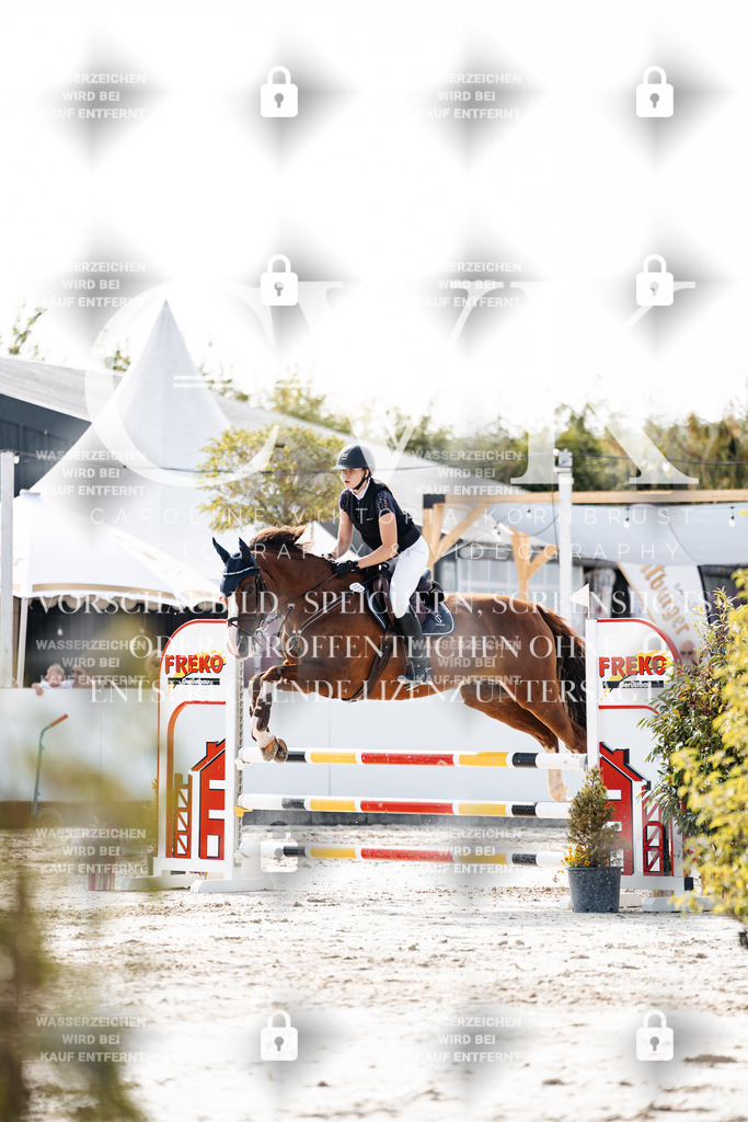 CK905706 | Turnierfotografie Pferdefotografie Trier Rheinland-Pfalz Pferdesport Reitsport Tierfotografie Sportfotografie Pferdevideo Pferdevideografie Equestrianvideography equestrianphotography  - Realisiert mit Pictrs.com
