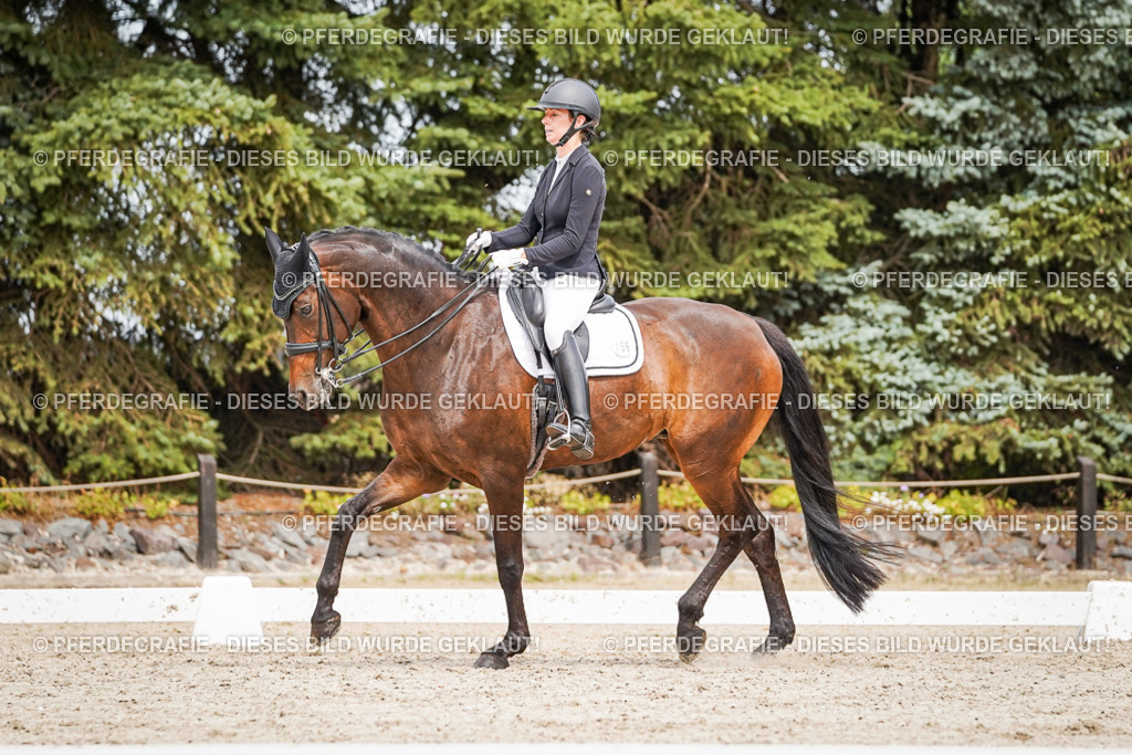 DSC05862 | Pferdegrafie