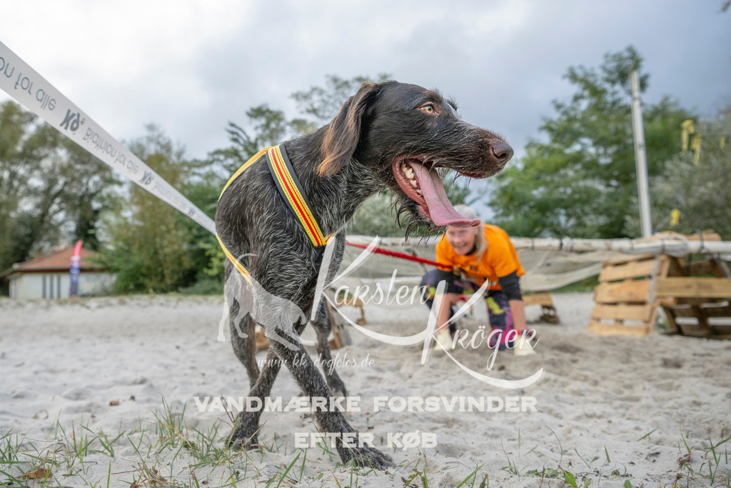 1129_ZZ97094 | kk-dogfotos