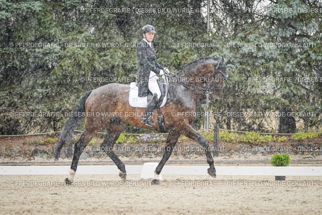 DSC08075 | Pferdegrafie