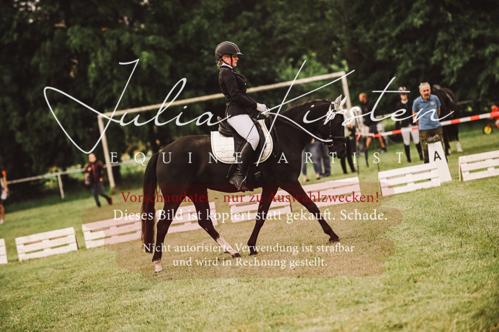 DSC_4814 | Pferde- und Turnierfotografie in Westsachsen. Pferdeportraits, Auftragszeichnungen und intuitive Kunst.