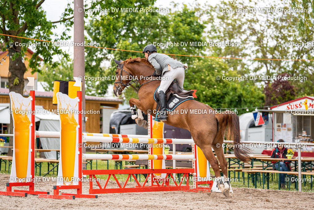 Eppelheim Tag 1-104 | dv-media-shop - Realisiert mit Pictrs.com