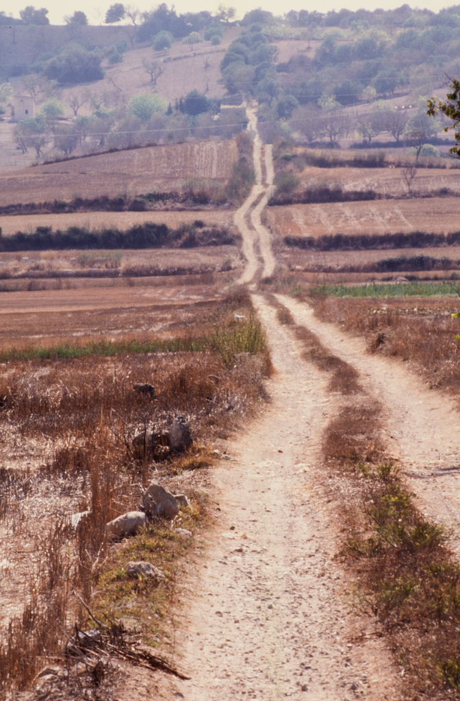 Mallorca_Esplanou_2001_10548Juli 10 2023 | Mallorca, nahe Esplanou. Feldweg