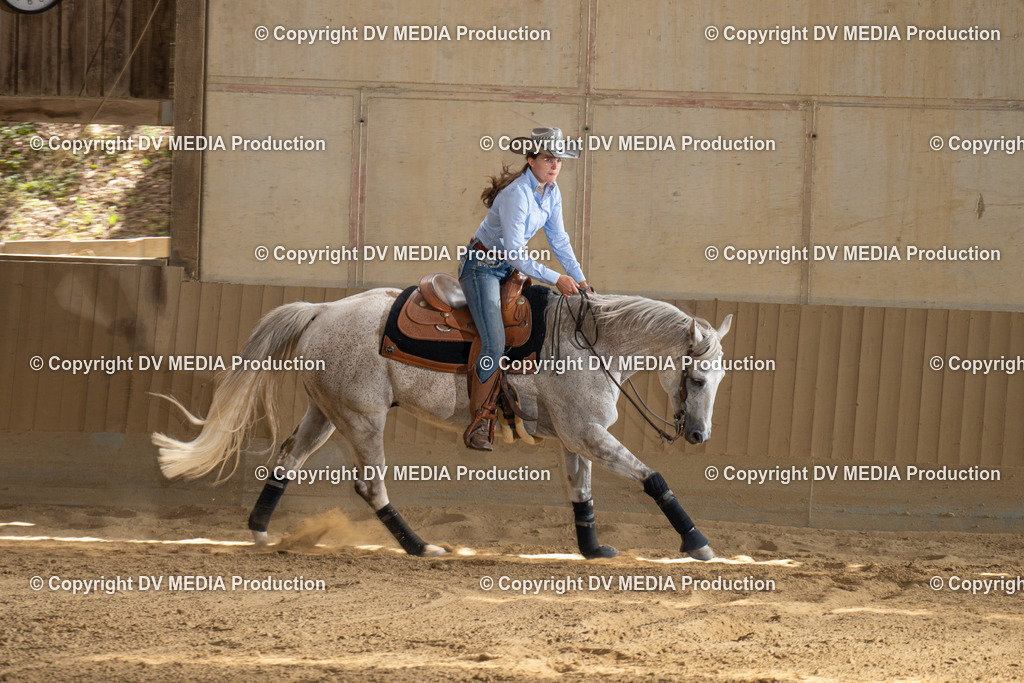 DSC00184 | dv-media-shop - Realisiert mit Pictrs.com