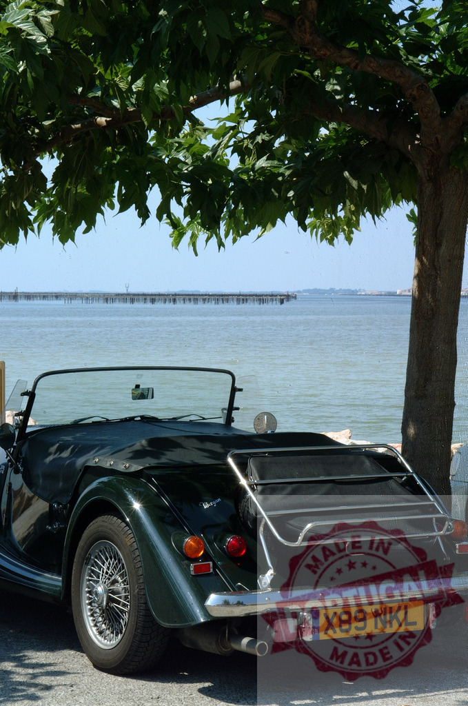 Classic Morgan Plus 8 parked near the sea under a tree | Rear view of a classic Morgan Plus 8 parked under a tree, near the sea, on a sunny day - Realisiert mit Pictrs.com
