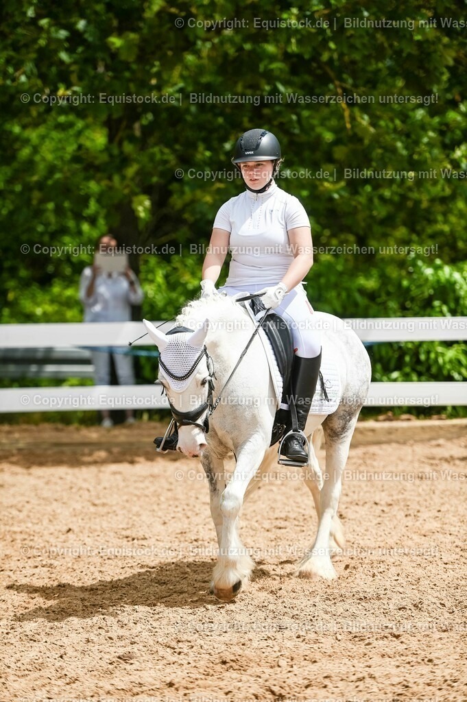 20230715_05_Dressurprüfung Kl.A++_0254 | equistock