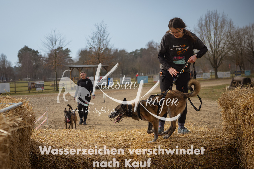 1121_ZZ93091 | kk-dogfotos