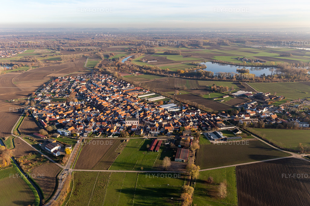 Luftbild: Ortsansicht im Ortsteil Hardtwald in Neupotz im Bundesland Rheinland-Pfalz in Deutschland. Foto: IMG_123967.jpg vom 21.11.2020 durch Werner Riehm/FLY-FOTO.de