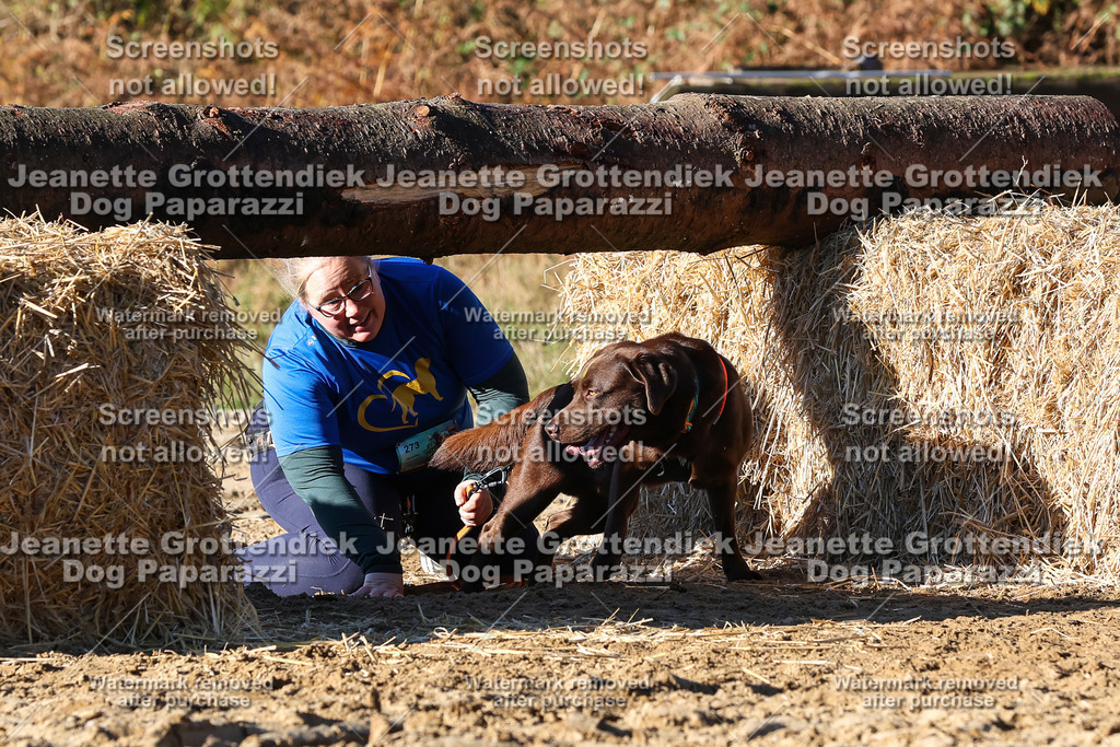 Dog Paparazzi - Strongdog 10-25-1663 | Dog Paparazzi Jeanette Grottendiek Fotografie & Videografie - Realisiert mit Pictrs.com