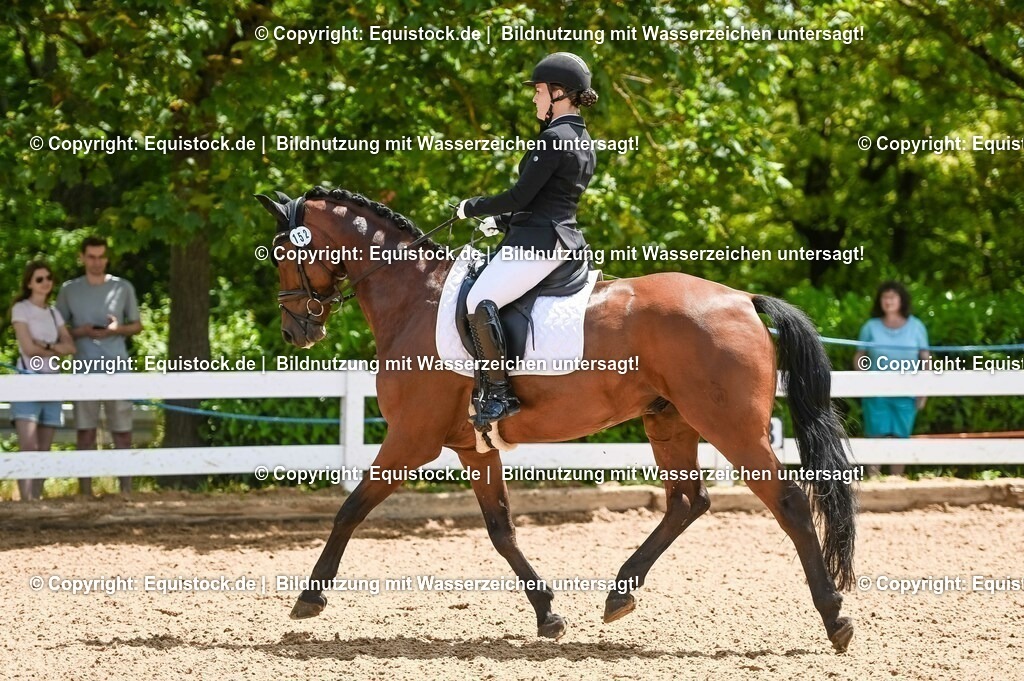 20230716_03_Dressurprfg. Kl.L - Tr._0085 | equistock