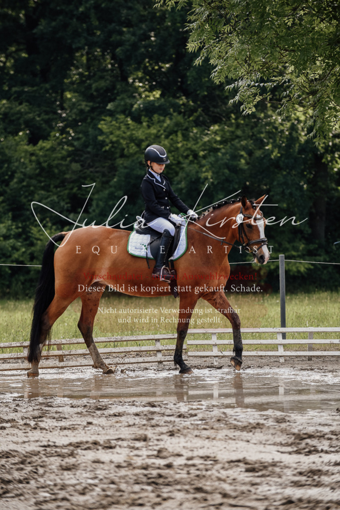 DSC_9093 | Pferde- und Turnierfotografie in Westsachsen. Pferdeportraits, Auftragszeichnungen und intuitive Kunst.