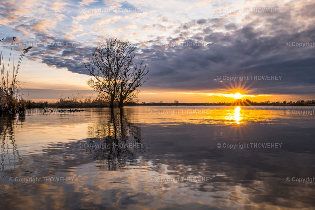 _1028760 | thowehey - Realisiert mit Pictrs.com