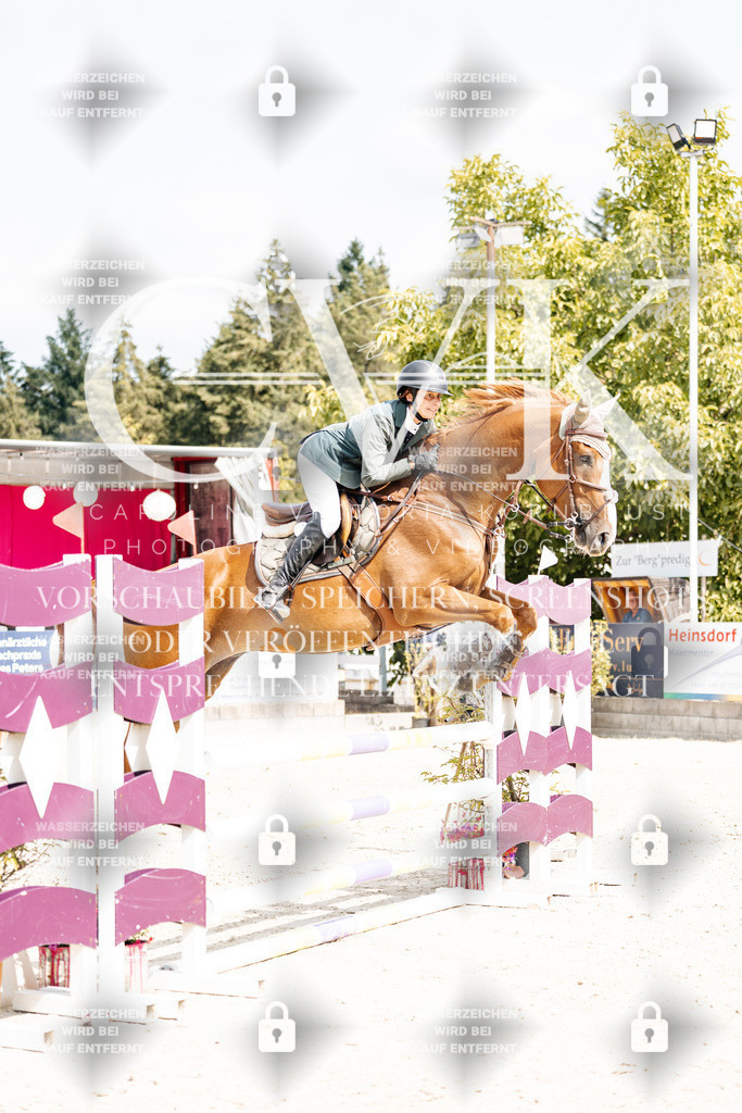 CK908874 | Turnierfotografie Pferdefotografie Trier Rheinland-Pfalz Pferdesport Reitsport Tierfotografie Sportfotografie Pferdevideo Pferdevideografie Equestrianvideography equestrianphotography  - Realisiert mit Pictrs.com