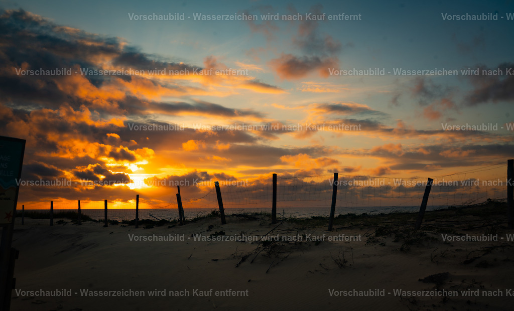 DSC01897-Enhanced-NR | marcuslinek