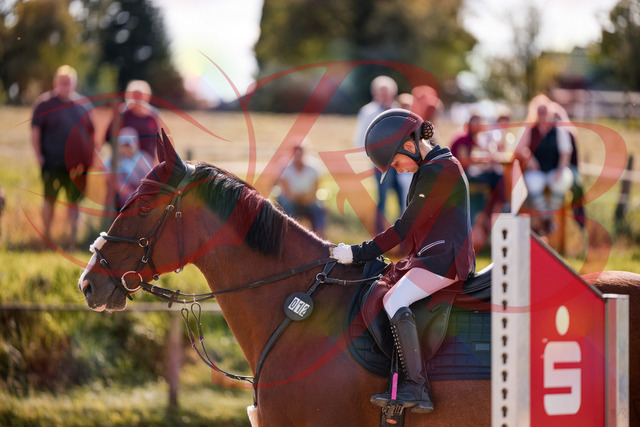2026_10_03_Siefer-Hof_143659_Z81_05742651 | Professionelle Reitsport-, Turnier- und Eventfotografie von Robert Broda. Galerien mit ausgewählten und bearbeiteten Bildern direkt online ansehen und bestellen.
