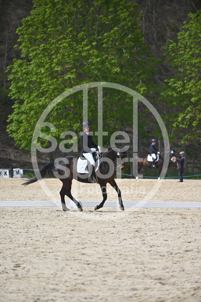 DSC_4318 | sattelsport - Realisiert mit Pictrs.com