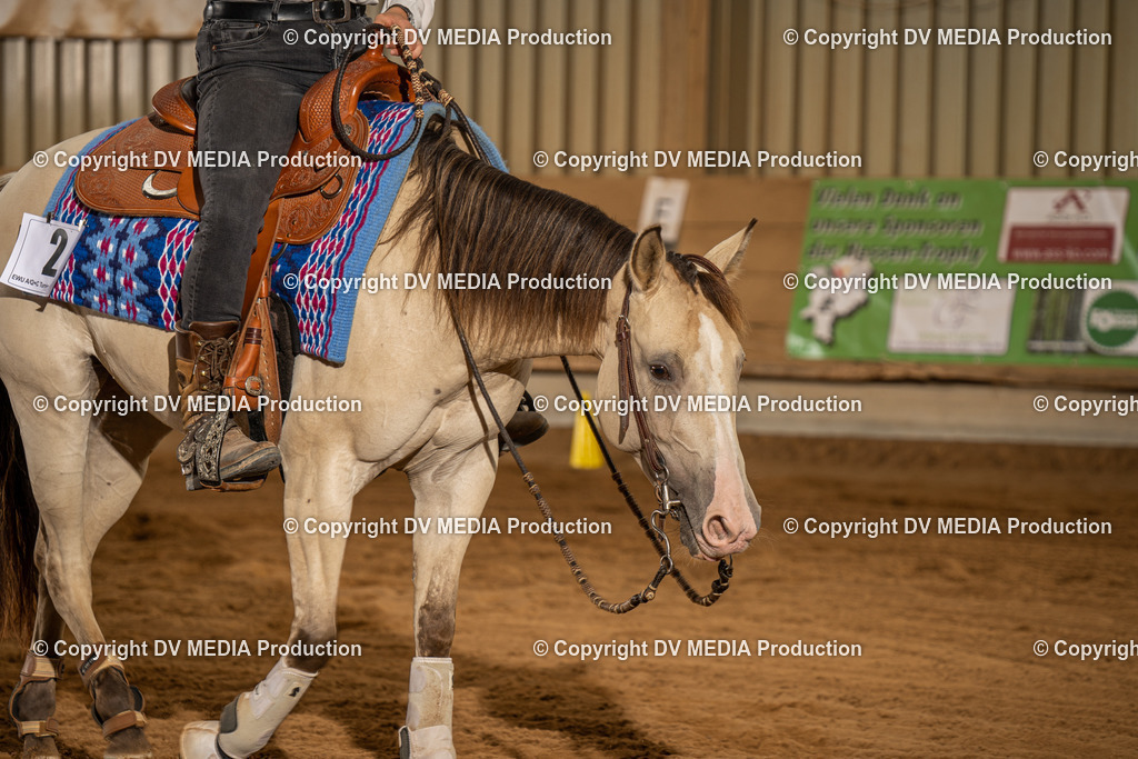 NID02087 | dv-media-shop - Realisiert mit Pictrs.com