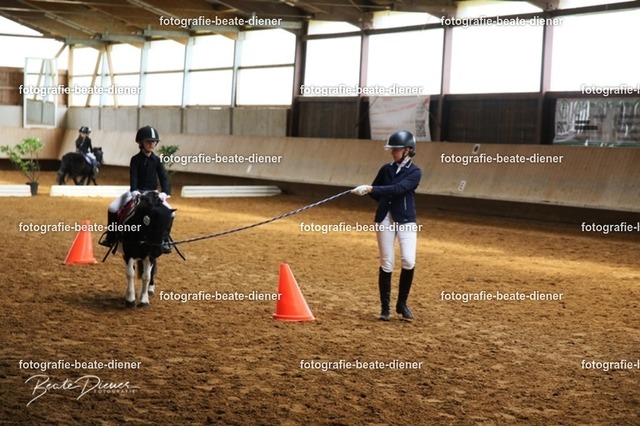 JugendTrophy.II0031 | Fotografie, Tiere, Hunde, Katzen, Pferde, Sportfotografie, Fotosession, Tierfotografie, Turnierfotografie, Fotografin, Fotograf - Realisiert mit Pictrs.com