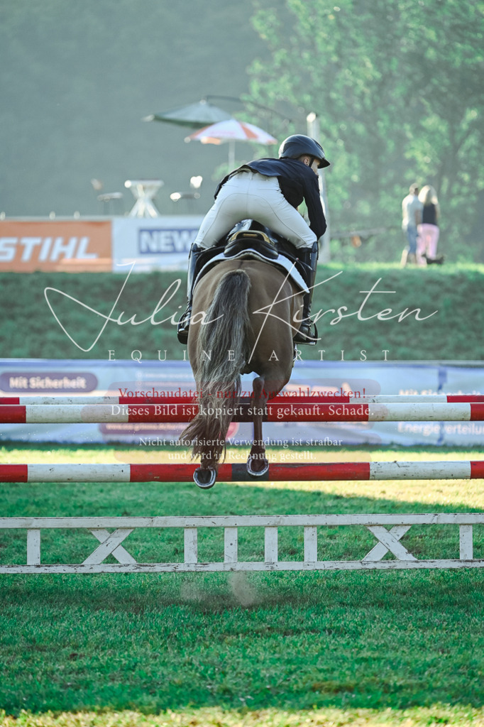 DSC_4116 | Pferde- und Turnierfotografie in Westsachsen. Pferdeportraits, Auftragszeichnungen und intuitive Kunst.